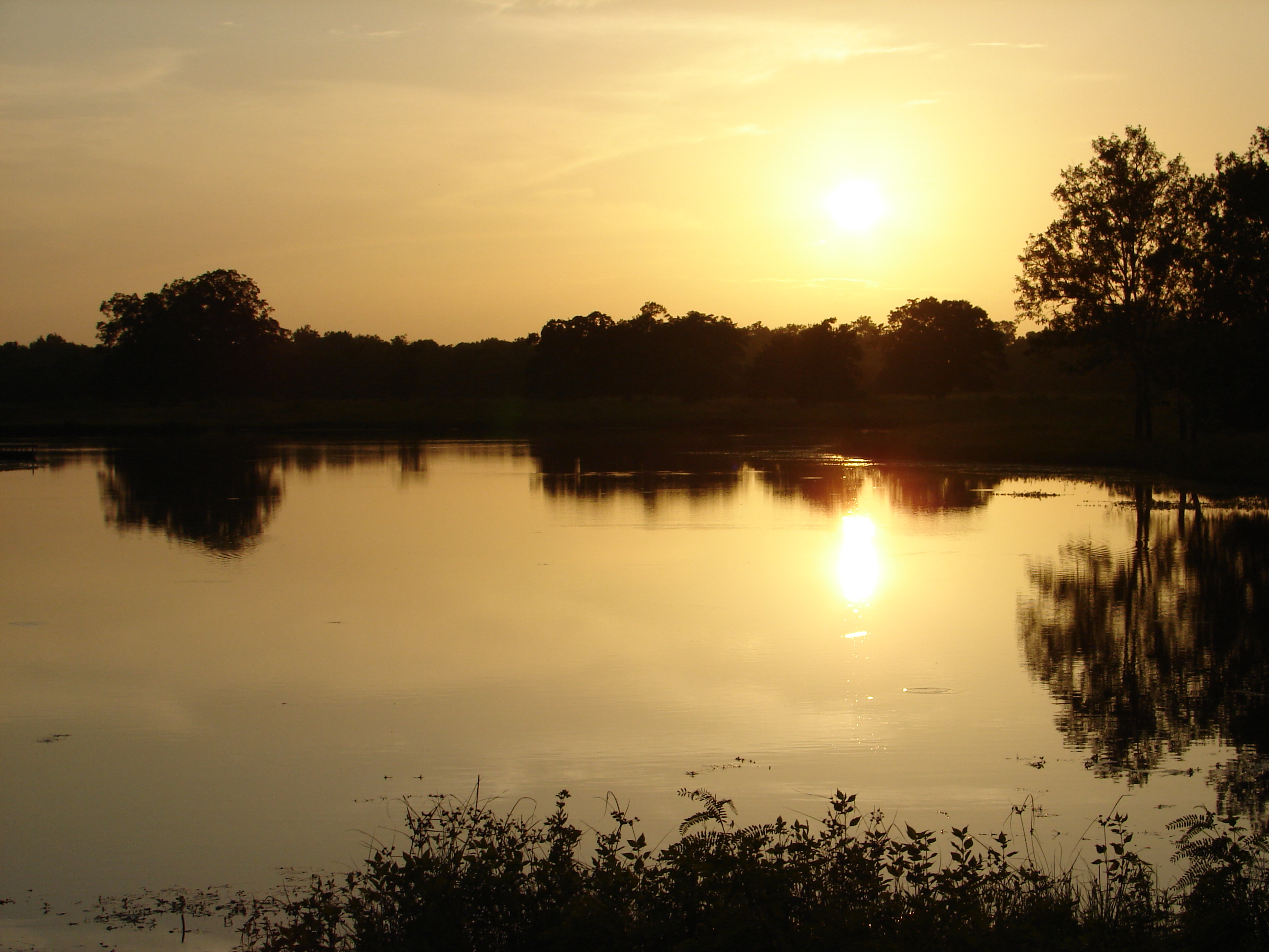 Beautiful sunset over the Lake.